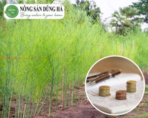 trong-mang-tay-xanh-co-dem-lai-hieu-qua-kinh-te