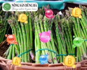 dinh-duong-co-trong-mang-tay