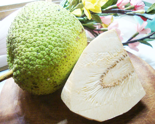 công dụng của quả sake công dụng của quả sake