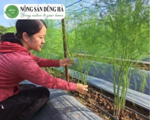 dieu-kien-trong-mang-tay-ve-nhan-cong