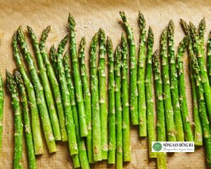 mang-tay-tai-Dung-Ha