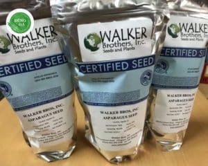 chon-hat-giong-mang-tay