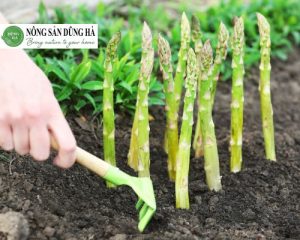 kho-khan-khi-trong-mang-tay