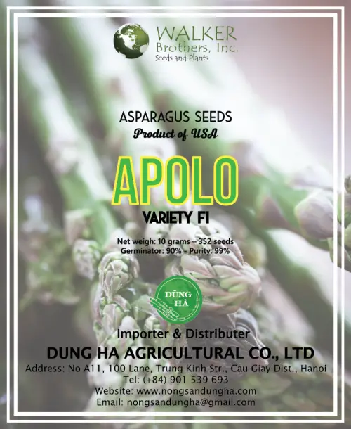 Apolo-10g