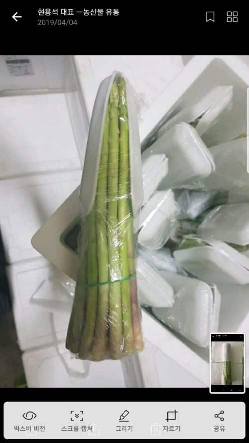 Asparagus bundles are wrapped by carrying food or sponge