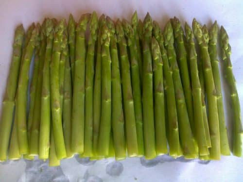 length of asparagus export