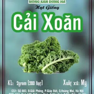 hat giong cai xoan kale