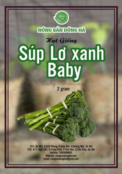 hat giong sup lo xanh baby