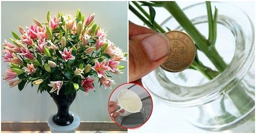 thêm đồng xu vào bình hoa là cách giữ hoa tươi lâu tàn