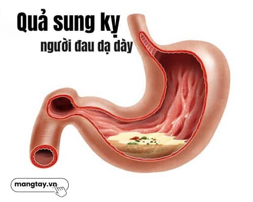 qua-sung-ky-nguoi-dau-da-day
