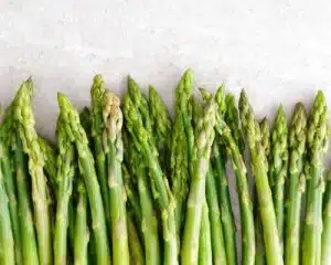 cay-lieu-va-cay-mang-tay-khac-nhau