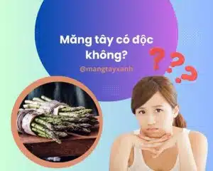 mang-tay-co-doc-khong