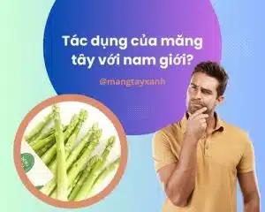 tac-dung-cua-mang-tay-voi-nam-gioi