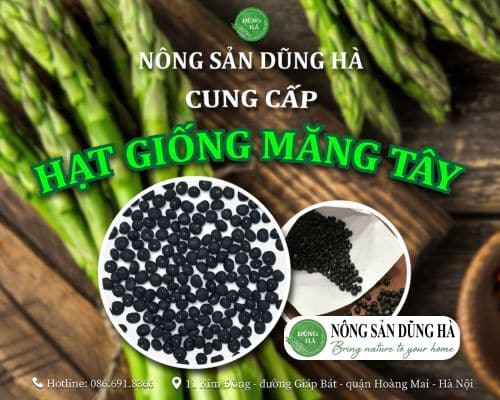 hat-giong-mang-tay-xanh-dung-ha