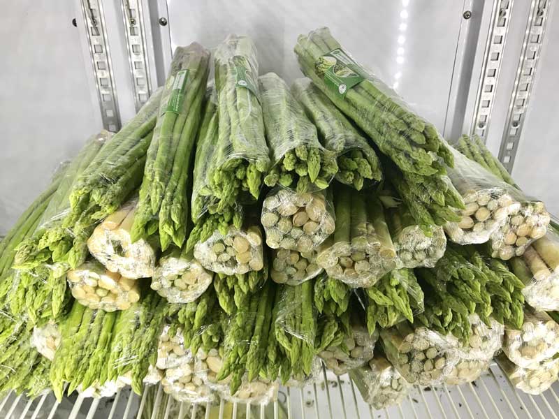 Sản phẩm măng tây xanh hữu cơ chất lượng tại Dũng Hà