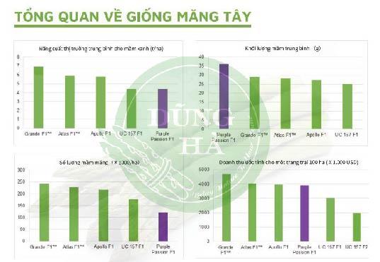 ban so sanh ve san luong va tinh khang benh