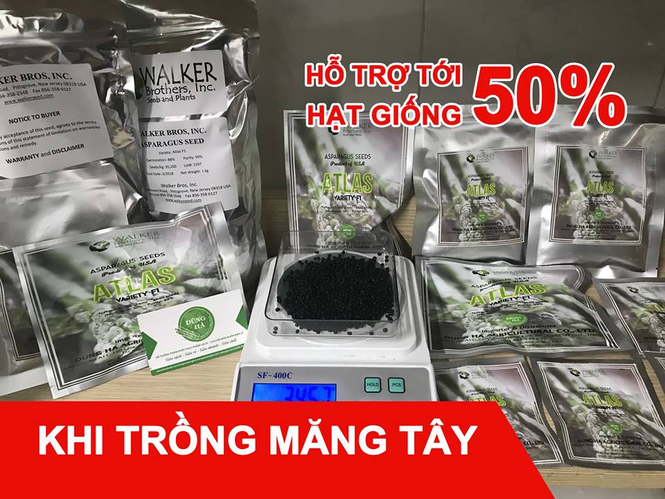 ho tro bao tieu san pham mang tay xanh 2019